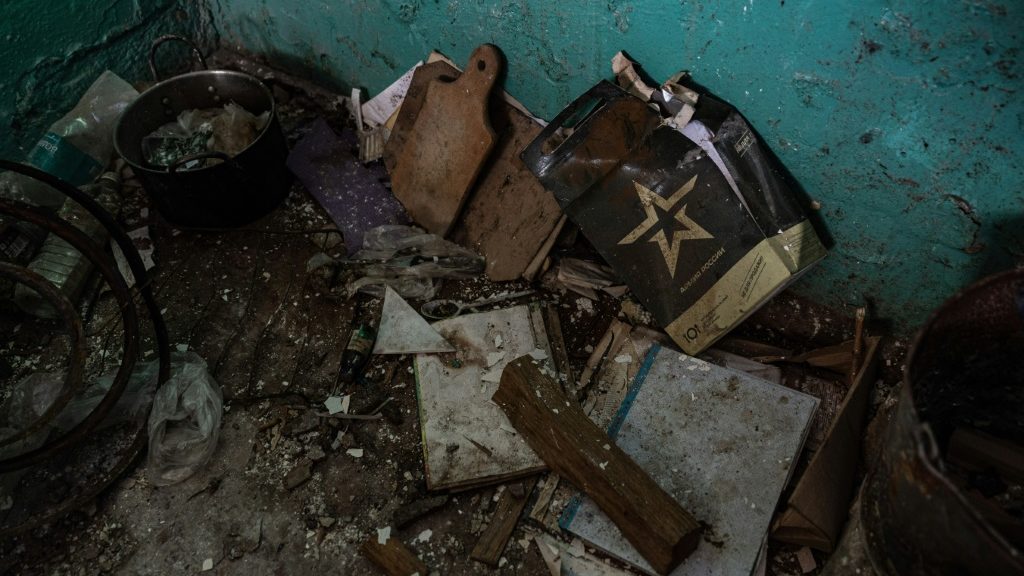 In retaken Ukraine village, ruins, hungry cats and few residents - Vimarsana News
