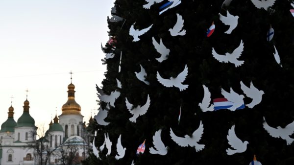 Kyiv mayor unveils festive tree