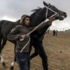 Off a desert highway Israel Bedouins rejoice in horse racing