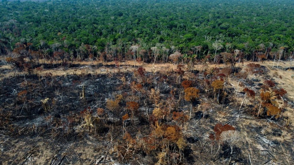 EU agrees ban on imports driving deforestation - AFR | Online Free Press release news distribution - Vimarsana News