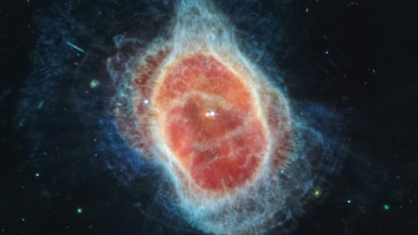 Webb telescope spies hidden stars in stellar graveyard Science Environment
