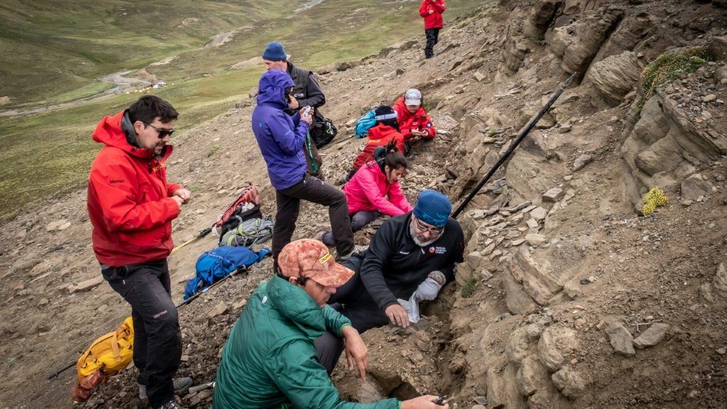 Four dinosaur species found in Chilean valley for first time: study - Science-Environment News - Report by AFR | Online Free Press release news distribution - Vimarsana News