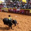 One dead dozens injured at bull taming contest in India