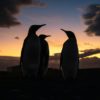Satellite mapping finds new colony of Emperor penguins International