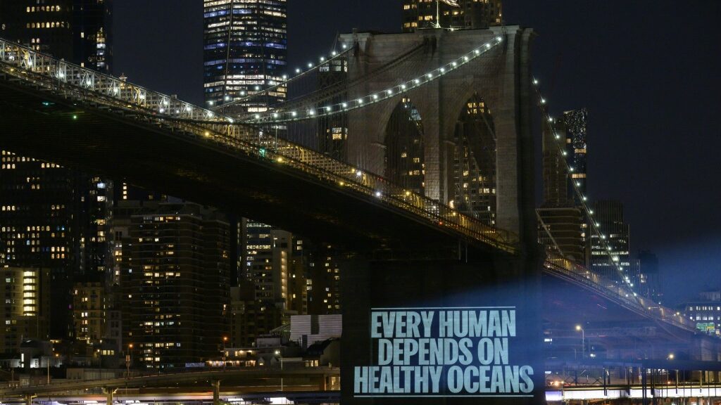 All hands on deck as UN meets to protect high seas - Science-Environment News - Report by AFR | Online Free Press release news distribution - Vimarsana News
