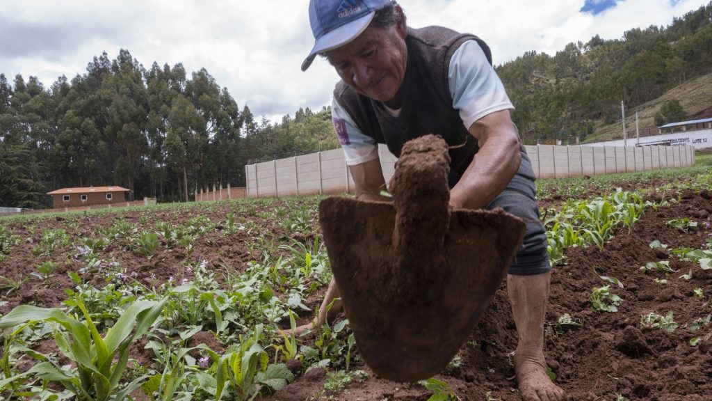 Andean communities 'forgotten' by Lima | Online Free Press release news distribution - Vimarsana News