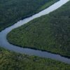 Brazils Amazon deforestation down 61 in January Science Environment News