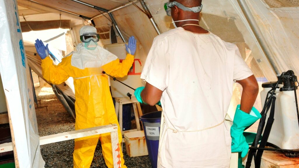 Death toll in E. Guinea Marburg outbreak rises to 11 - Health and Lifestyle News - Report by AFR | Online Free Press release news distribution - Vimarsana News