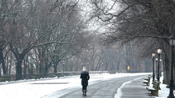 New York gets biggest snowfall of unusually mild winter