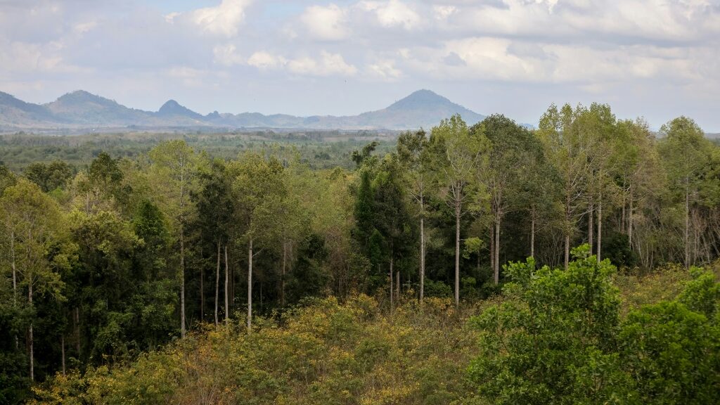 a contested tool to fight deforestation - Science-Environment News - Report by AFR | Online Free Press release news distribution - Vimarsana News