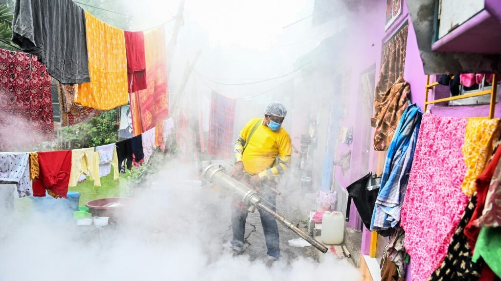 Dengue treatment advances in animal trials - Global Edition News - Report by AFR | Online Free Press release news distribution - Vimarsana News