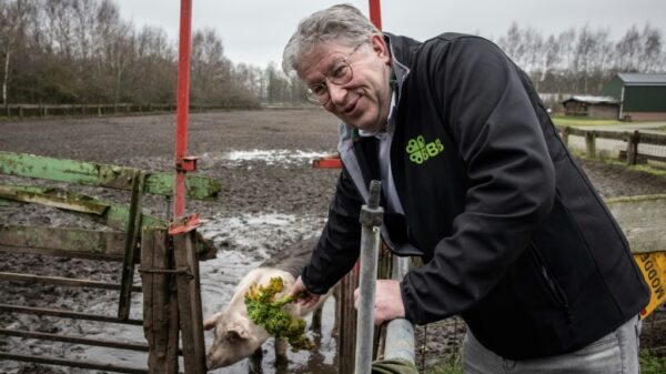 Dutch farmer party hopes to reap election gains Health