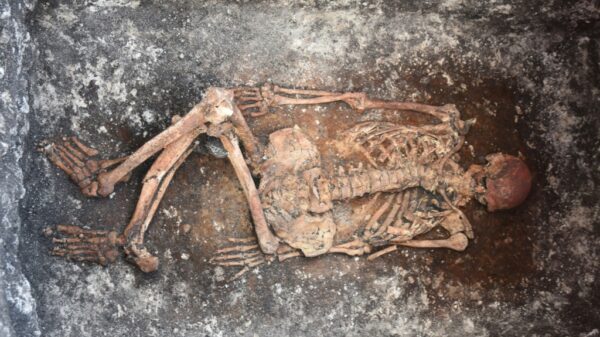 Horseback riding may have begun 5000 years ago in Europe