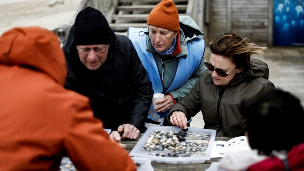 North Sea shell survey brings out volunteers - Top Stories News - Report by AFR | Online Free Press release news distribution - Vimarsana News