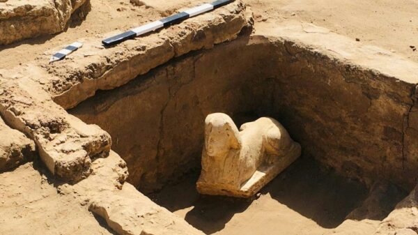 Smiley dimpled sphinx statue unearthed in Egypt International News