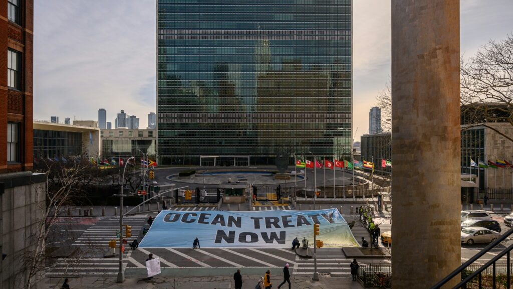 UN head says high seas treaty must be 'ambitious' | Online Free Press release news distribution - Vimarsana News