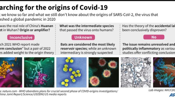 WHO urges countries to come clean on Covid origins intel
