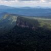 Amazon Indigenous lands prevent disease save billions study