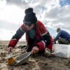 Plastic pollution is scourge of English coastal region English