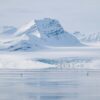 Scientists save ancient Arctic ice in race to preserve climate