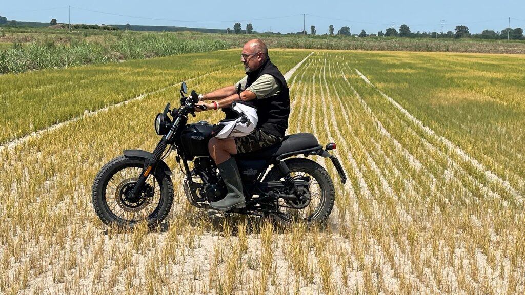 EU's next food fight: regulating gene-edited crops - English News - Report by AFR | Online Free Press release news distribution - Vimarsana News