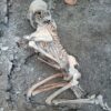 Two new skeletons found at Pompeii excavations
