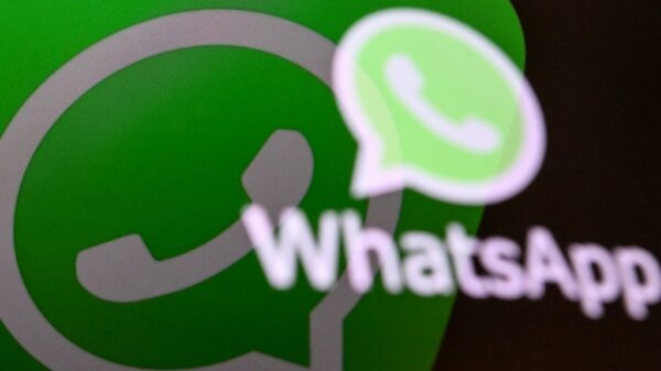 1686265981 medias