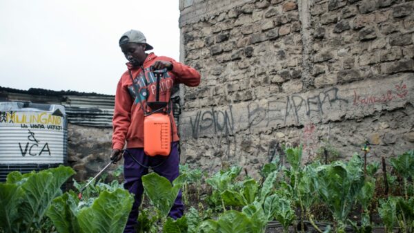 Deadly booze brings profit and pain to Kenyas streets
