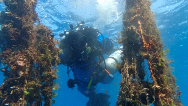 Divers fish deadly ghost nets from Santorinis depths