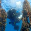 Divers fish deadly ghost nets from Santorinis depths English