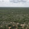 Kenya to convert cult massacre forest into memorial site