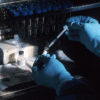 The Role of Employee Drug Testing Services in Safeguarding Remote and Hybrid Teams